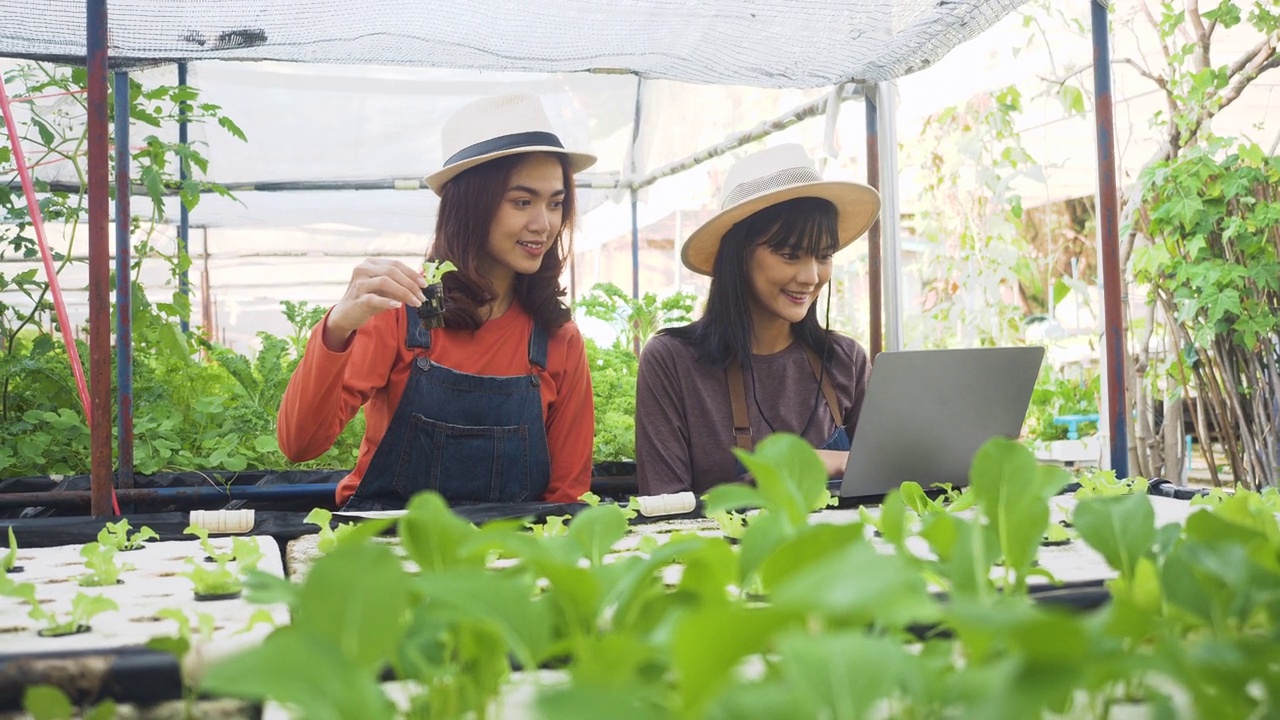 詳情圖-女園丁拿著筆記本電腦檢查地里的蔬菜。田里的蔬菜。一名女園丁在農(nóng)場(chǎng)使用水質(zhì)儀。檢查水培系統(tǒng)水箱的EC值