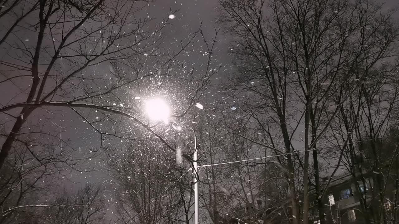 冬夜路灯飘落雪花。