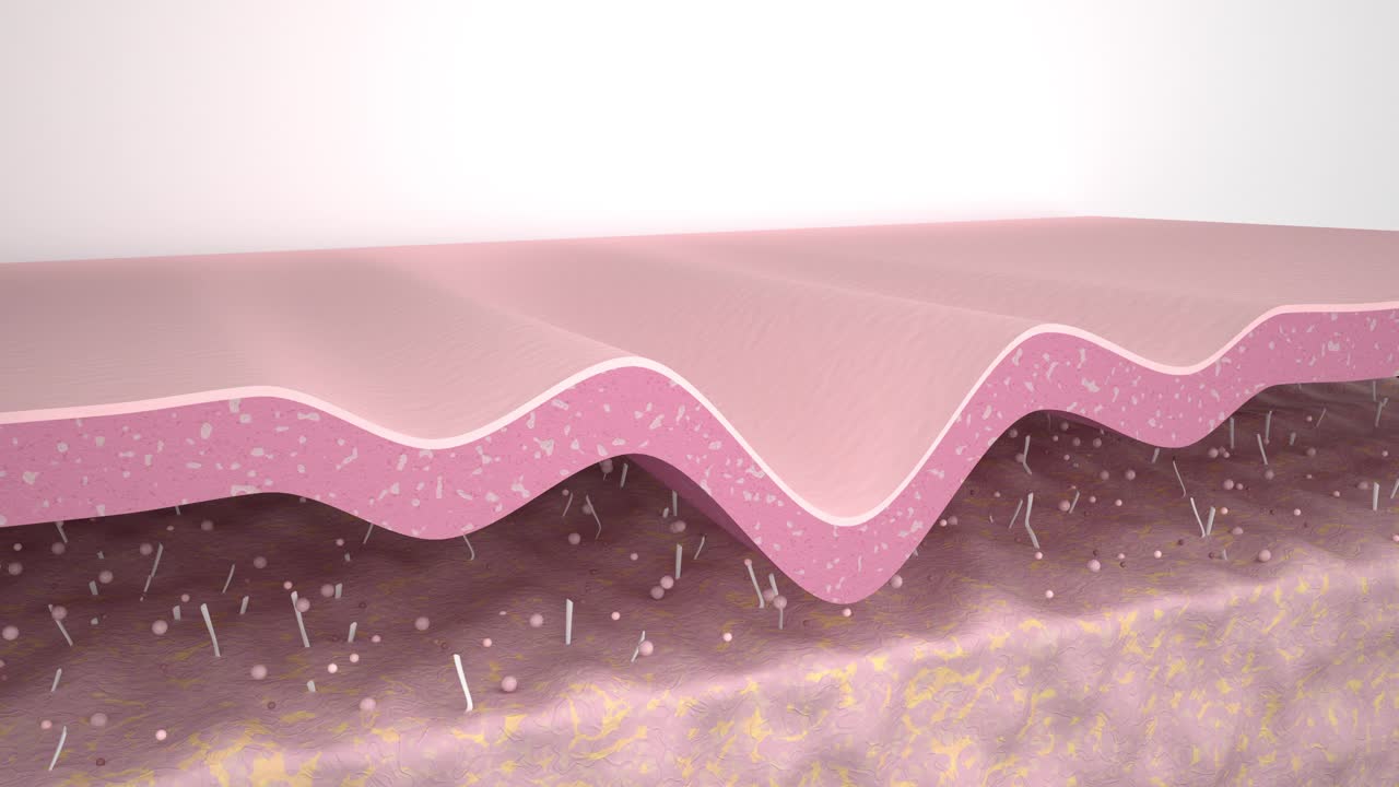 3D动画皮肤层平滑皱纹。护肤作用胶原修复作用抗衰老治疗作用
