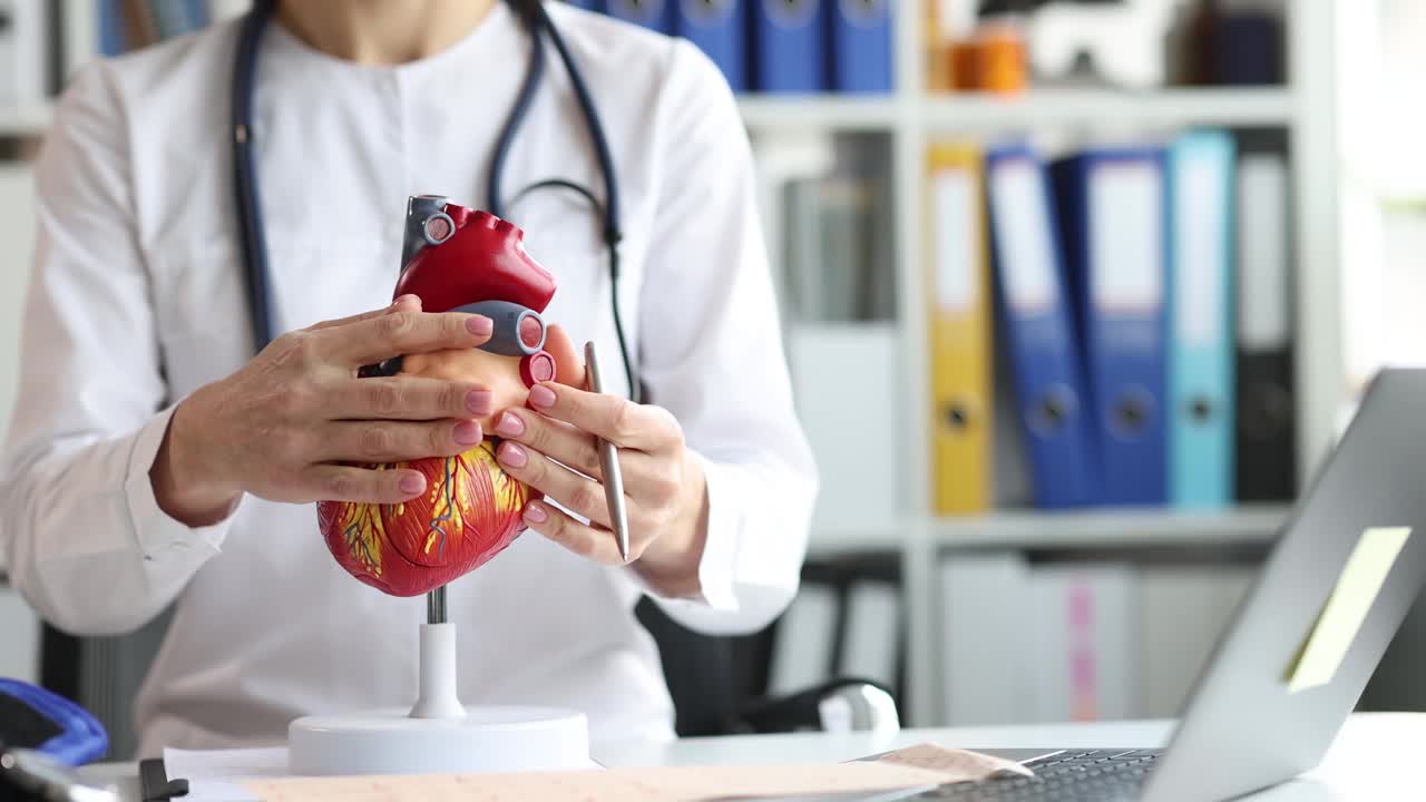 心脏医生在人工模型特写4k电影上展示心脏结构
