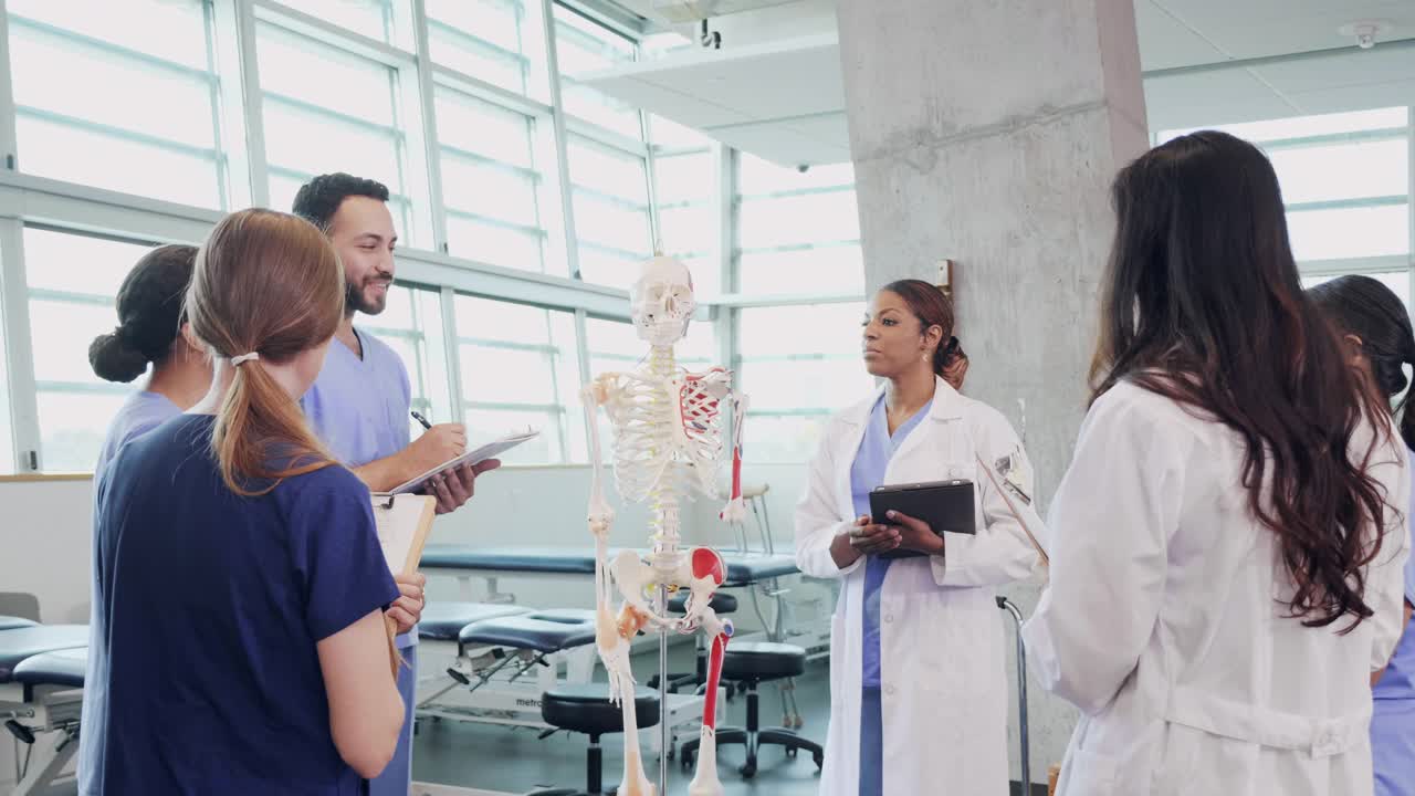 中年医学院教授教授人体骨骼系统