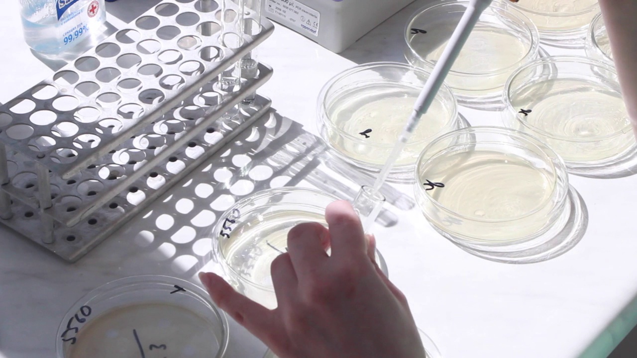 科学家在微生物实验室做化学测试