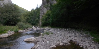 山中河流穿过陡峭的岩壁，覆盖着茂密的落叶林