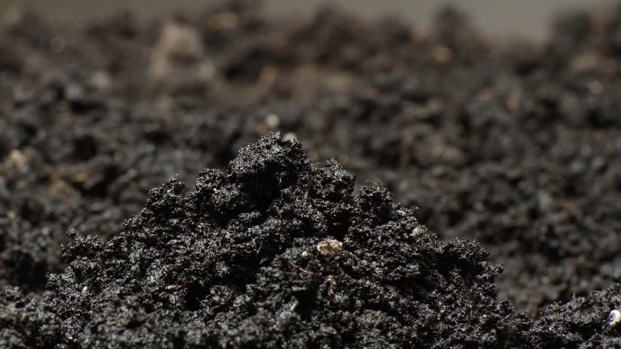 大自然在一段时间的流逝中，芽苗从地里长出来加速射笋，黄瓜在温室中种植，生产粮食