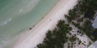 从空中俯瞰白色沙滩上的蓝色海洋，在亚洲的一个度假胜地，沿着海滩的棕榈树