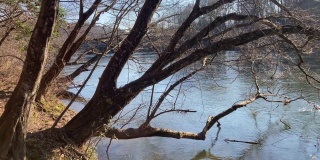 在鲍尔斯步道的查塔胡奇河上，冬天的树冠覆盖着大地