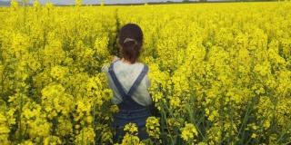 后视图的一个年轻的女孩走在油菜籽田