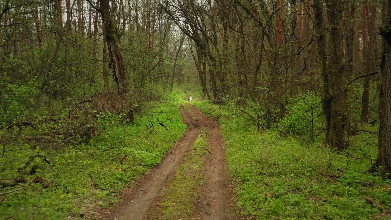 土路徒步在绿色的森林在春天-多利在FPV镜头