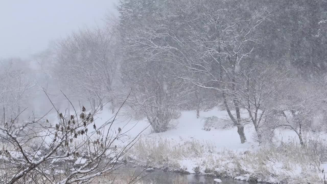 大量的粉状雪继续落在农村