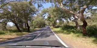 驾驶汽车乡间小路树木葡萄牙阿连特约