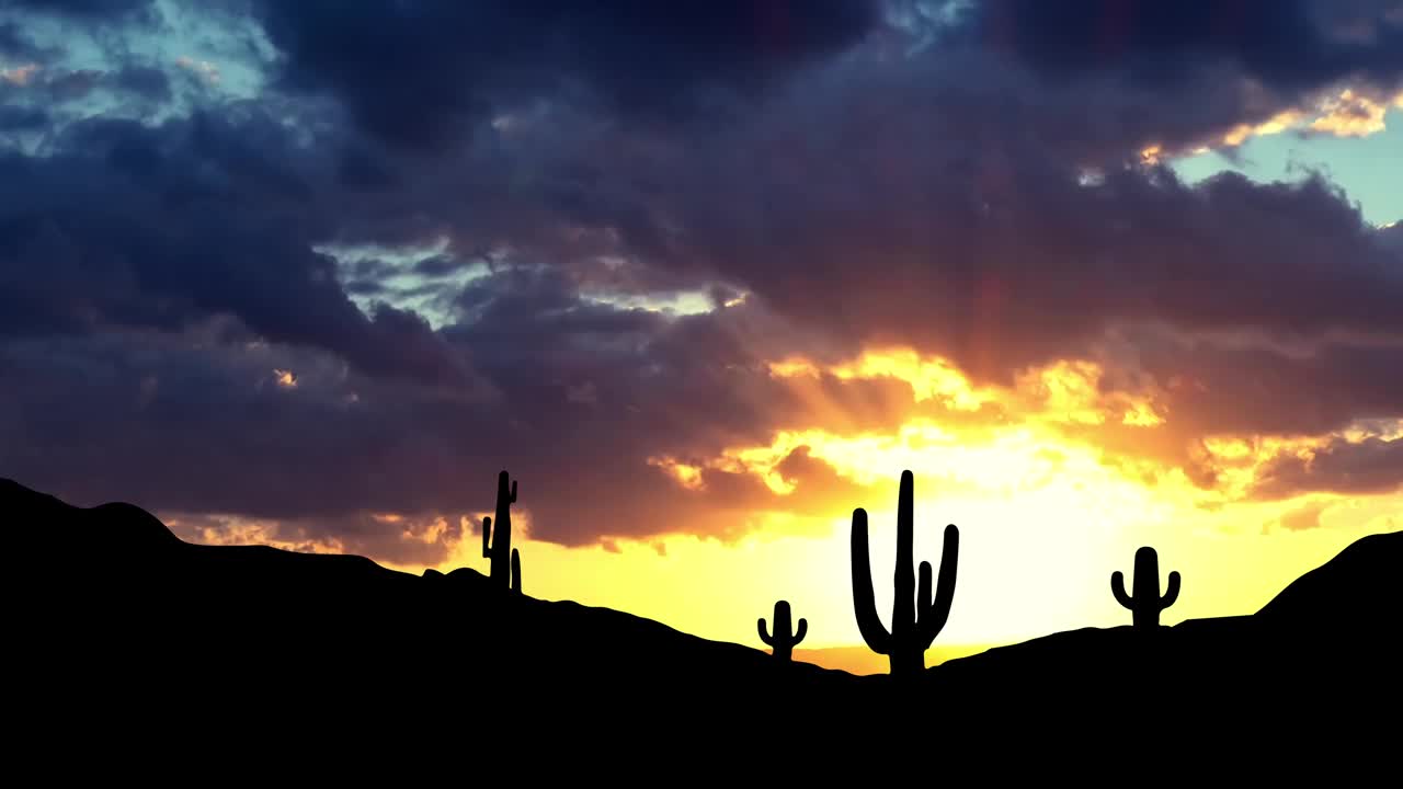 亚利桑那州迷信山的仙人掌剪影上的日落。