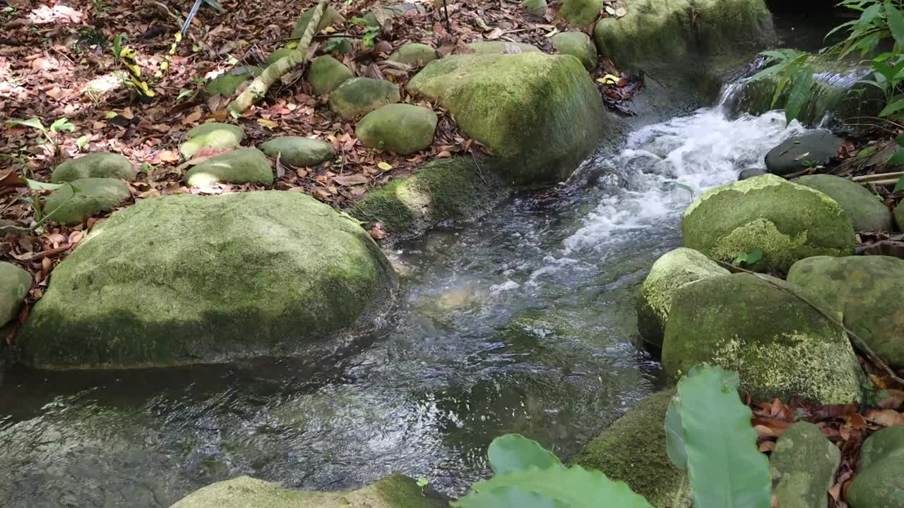 水流湍急，平静祥和