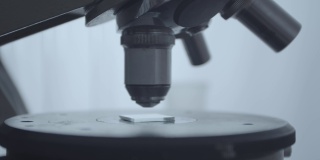 显微镜安装在玻片上的特写镜头。在科学实验室工作。学校科学项目。人手戴橡胶保护手套。