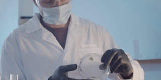 戴着防护橡胶手套和眼镜的博士研究员在培养皿中近距离观察一件人工制品。科学实验室的研究工作。