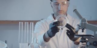 研究人员戴着橡胶手套，穿着长袍，在实验室设备的背景下，近距离观察培养皿中植物的一部分。一个科学实验室。