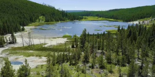 黄石国家公园，蒙大拿州，2021年7月。空中全景无人机的热地表水从一个漂白的化学涂层盆地周围的草，森林和幸存的树木退去