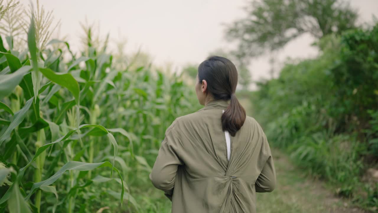 农民使用数码平板电脑，智能农业