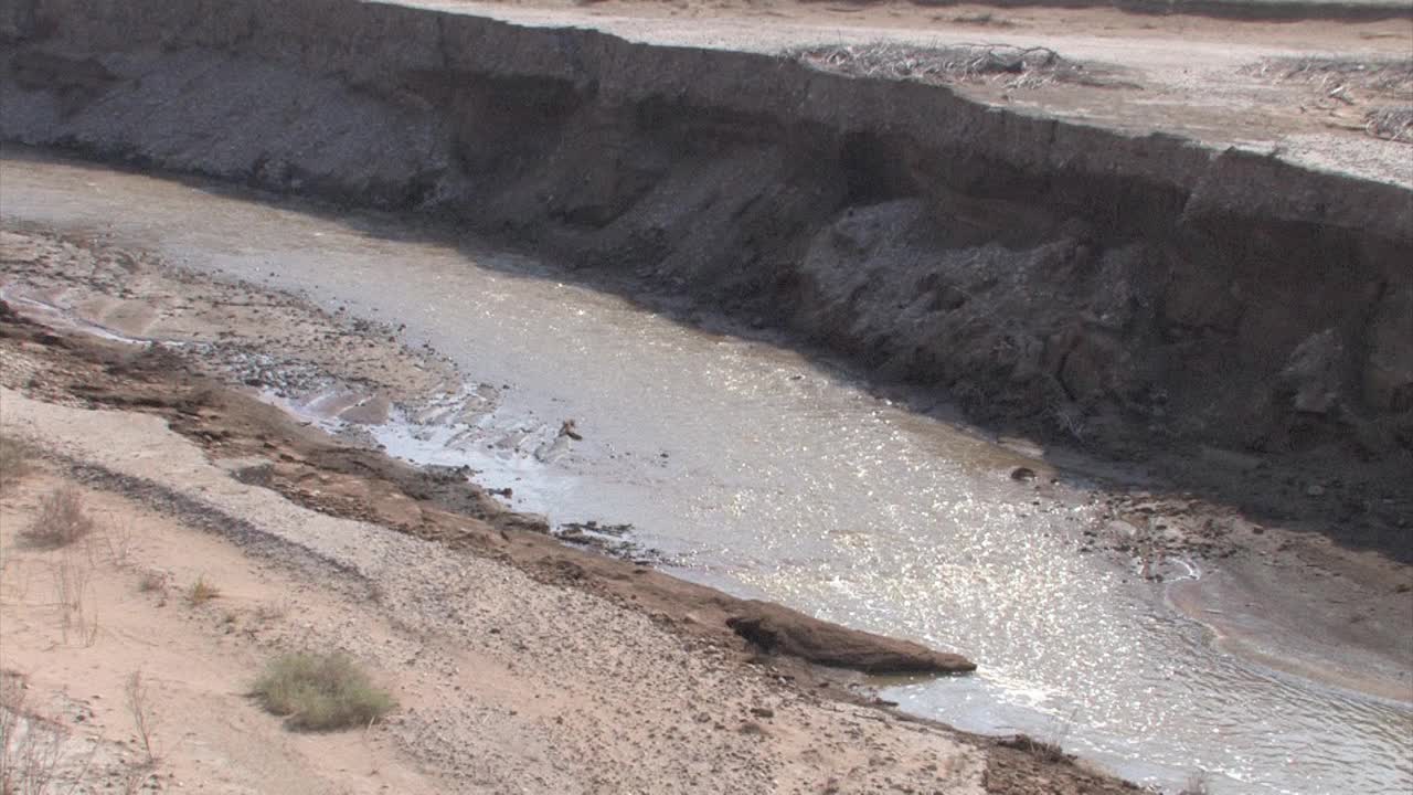 约旦河峡谷死海