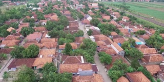 从空中俯瞰一所印尼村庄的房屋，用无人机拍摄，一条道路穿过村庄，旁边是广阔的稻田