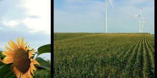 风能和可再生能源-风力发电站