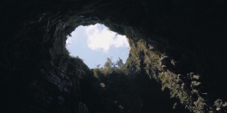 巴西热带雨林垂直洞穴