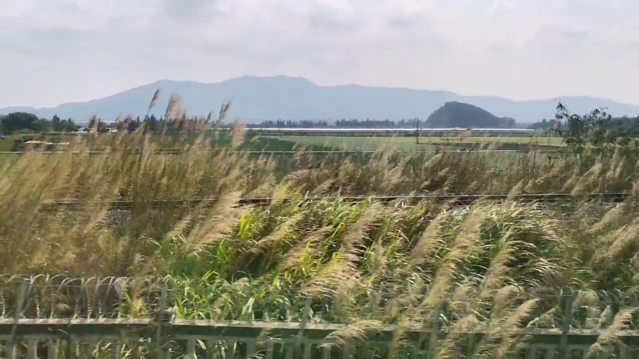 详情图-高铁车窗外动人的风景