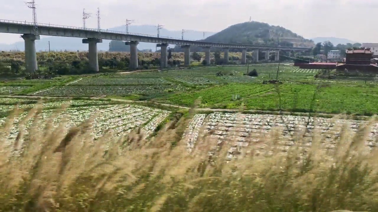 详情图-高铁车窗外动人的风景