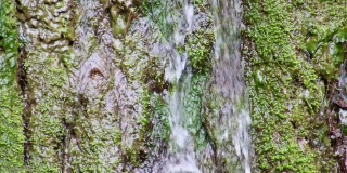 水缓缓地从长满苔藓的岩石上流下