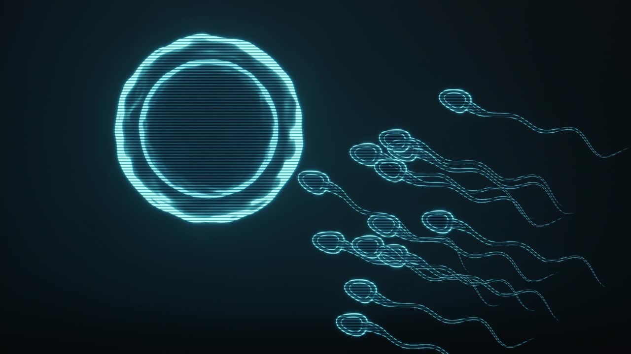 详情图-精子和卵子的全息图像，未来元素，3d渲染。
