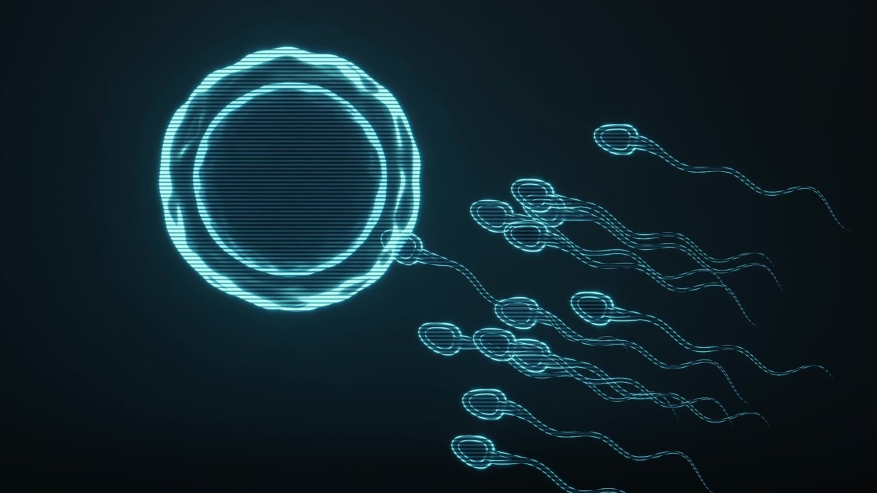 详情图-精子和卵子的全息图像，未来元素，3d渲染。