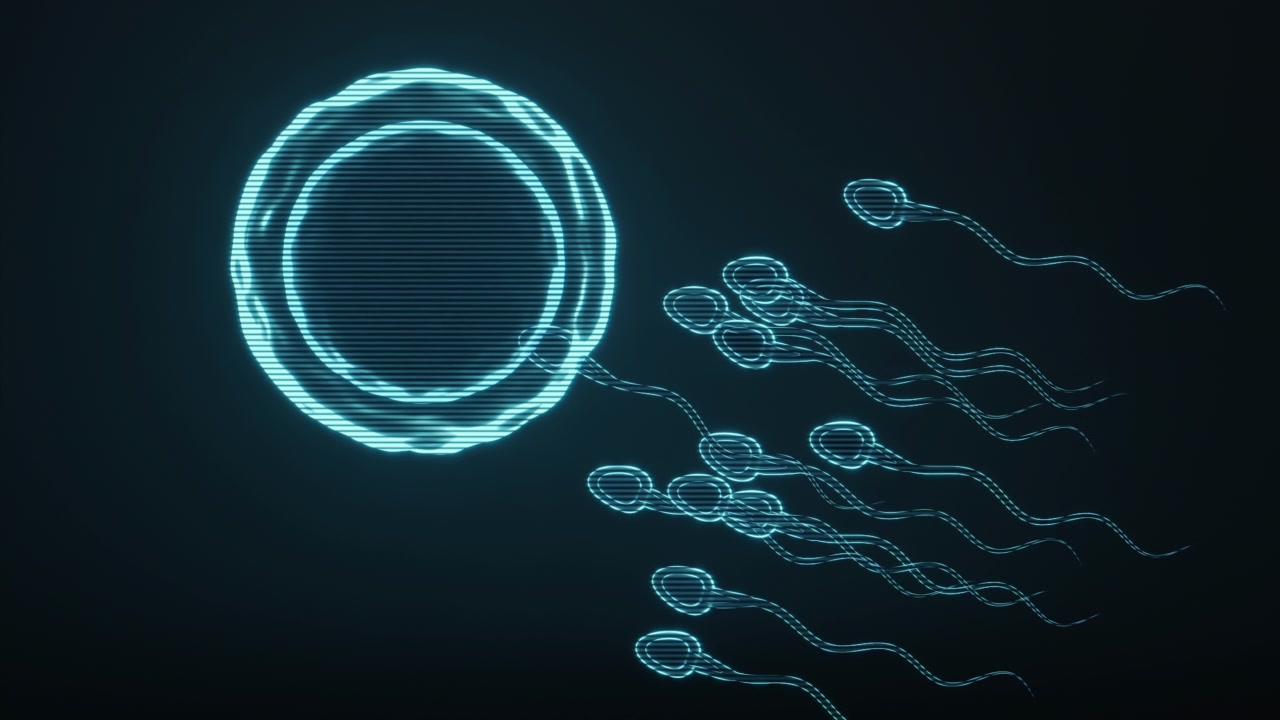 详情图-精子和卵子的全息图像，未来元素，3d渲染。