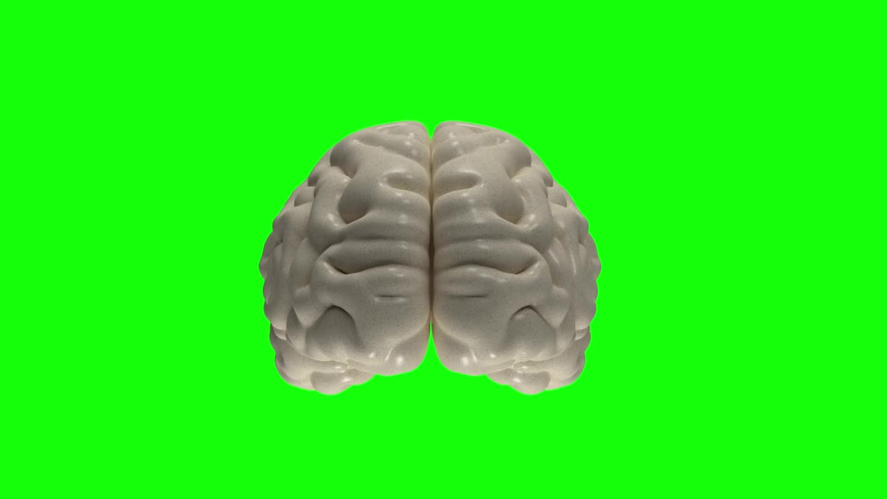人类大脑4 k。旋转。Loopable。蓝色的。股票视频