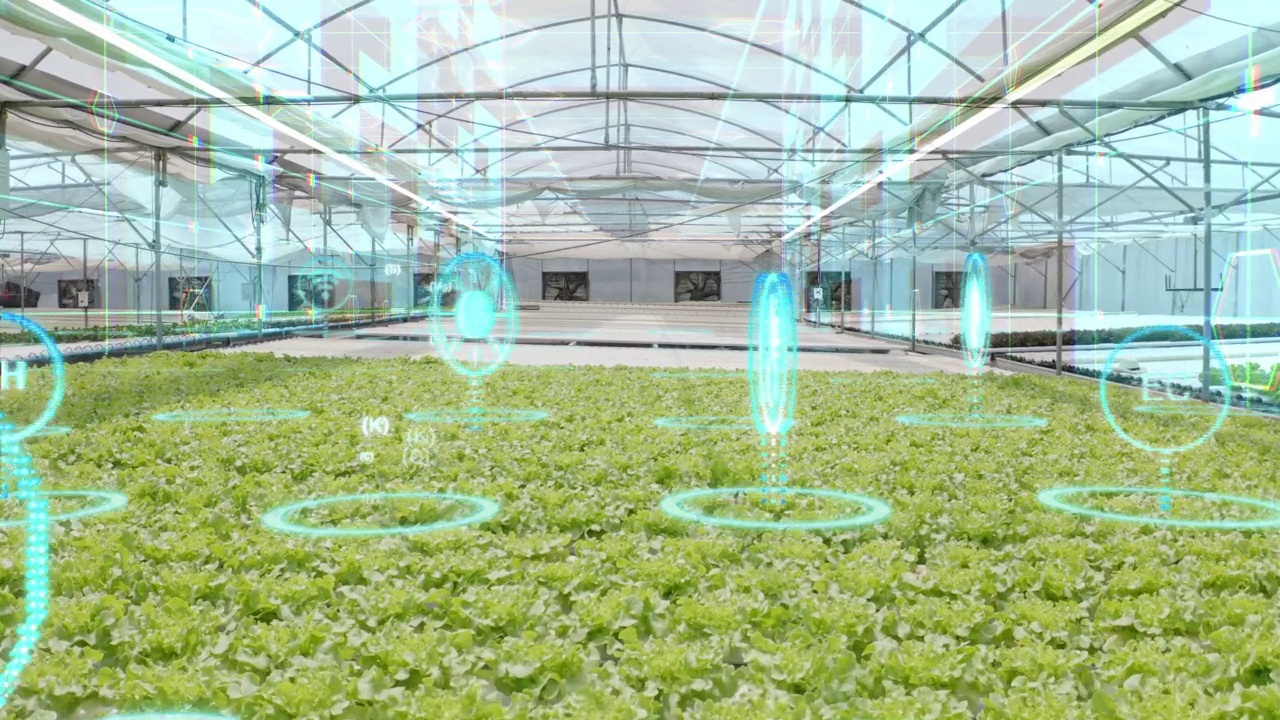 带有增强现实和虚拟现实界面的水培农场，未来农业技术，智能农业概念，工业革命概念