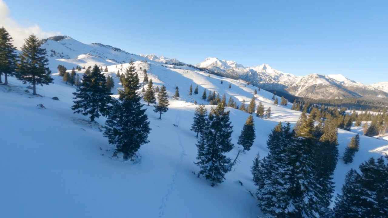 日落時分的雪山森林
