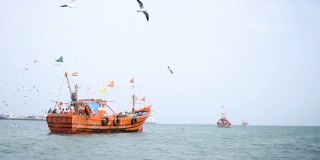 在印度古吉拉特邦的奥卡港，海鸥飞过阿拉伯海的船只。港口的渔船上挂着印度国旗。阿拉伯海的小木船。