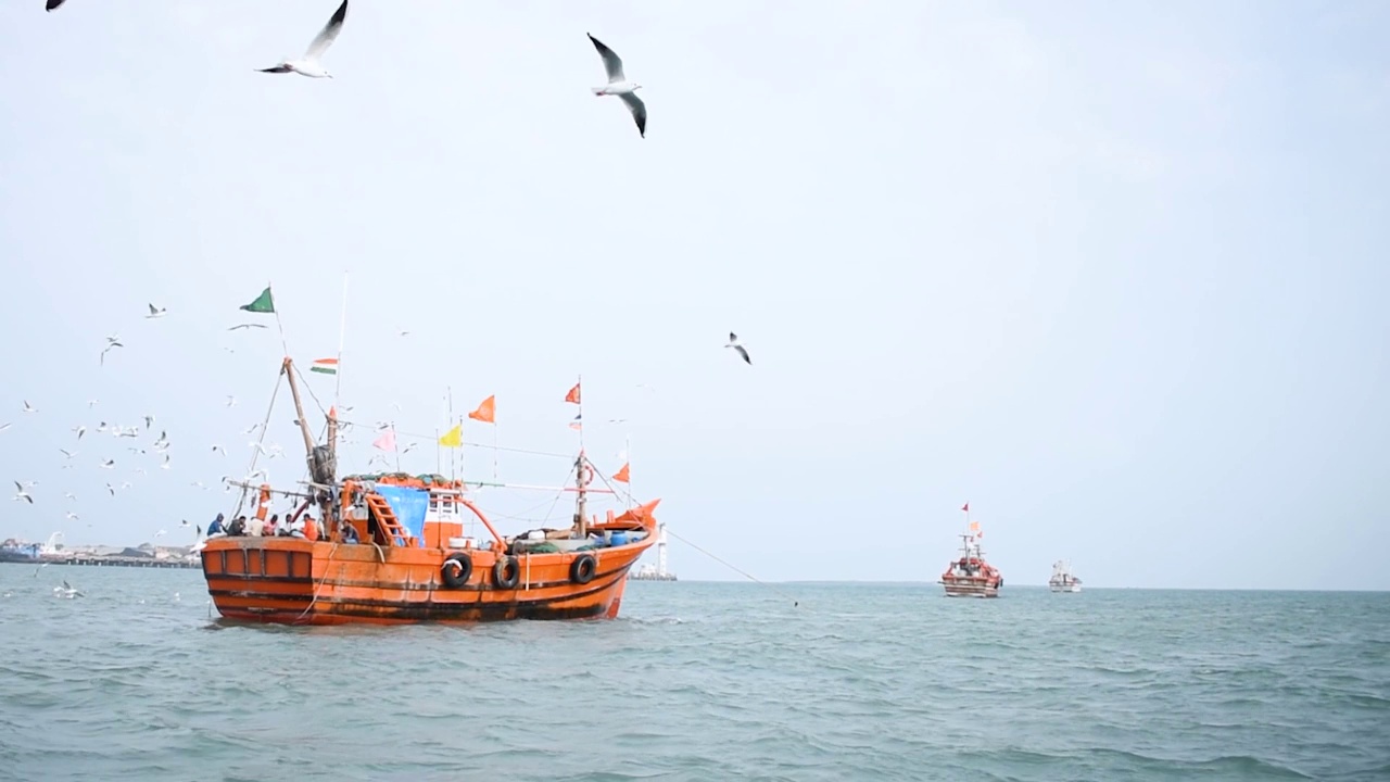 在印度古吉拉特邦的奥卡港，海鸥飞过阿拉伯海的船只。港口的渔船上挂着印度国旗。阿拉伯海的小木船。