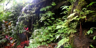 小瀑布和在Babahan村在印尼巴厘岛的Tabanan摄政，与光滑的清澈的水