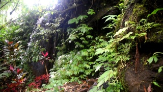 小瀑布和在Babahan村在印尼巴厘岛的Tabanan摄政，与光滑的清澈的水