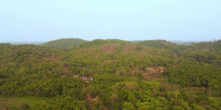 印度森林Arial视图4K