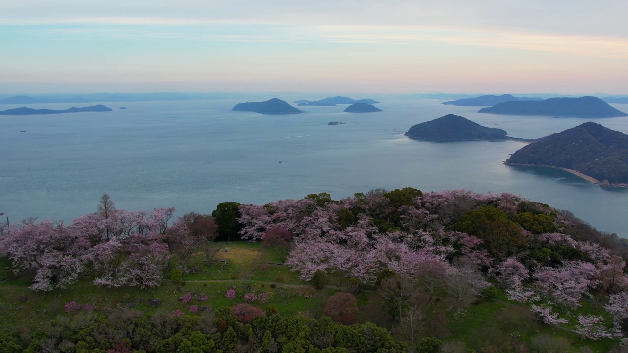 香川县三代市守德山的樱花和濑户内海