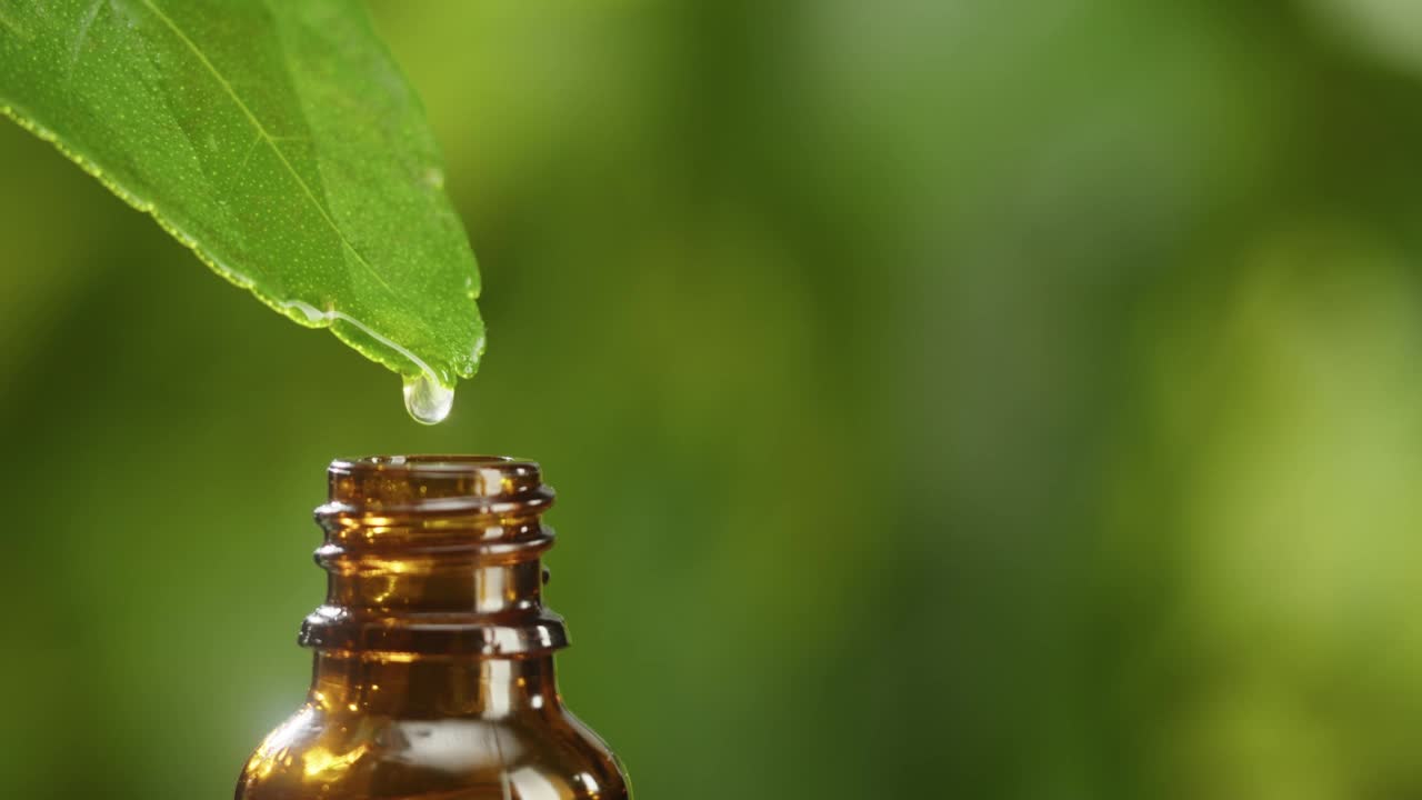 果汁从叶子滴入瓶子特写，植物油。在绿色背景上制作芳香血清。滴液精华、护肤常规、治疗精油、spa概念。传统医学