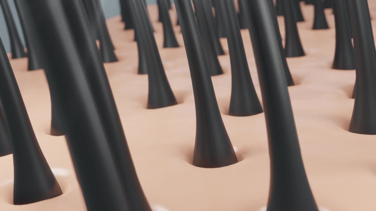 护发，动画，滋养头发作用的洗发水或血清。