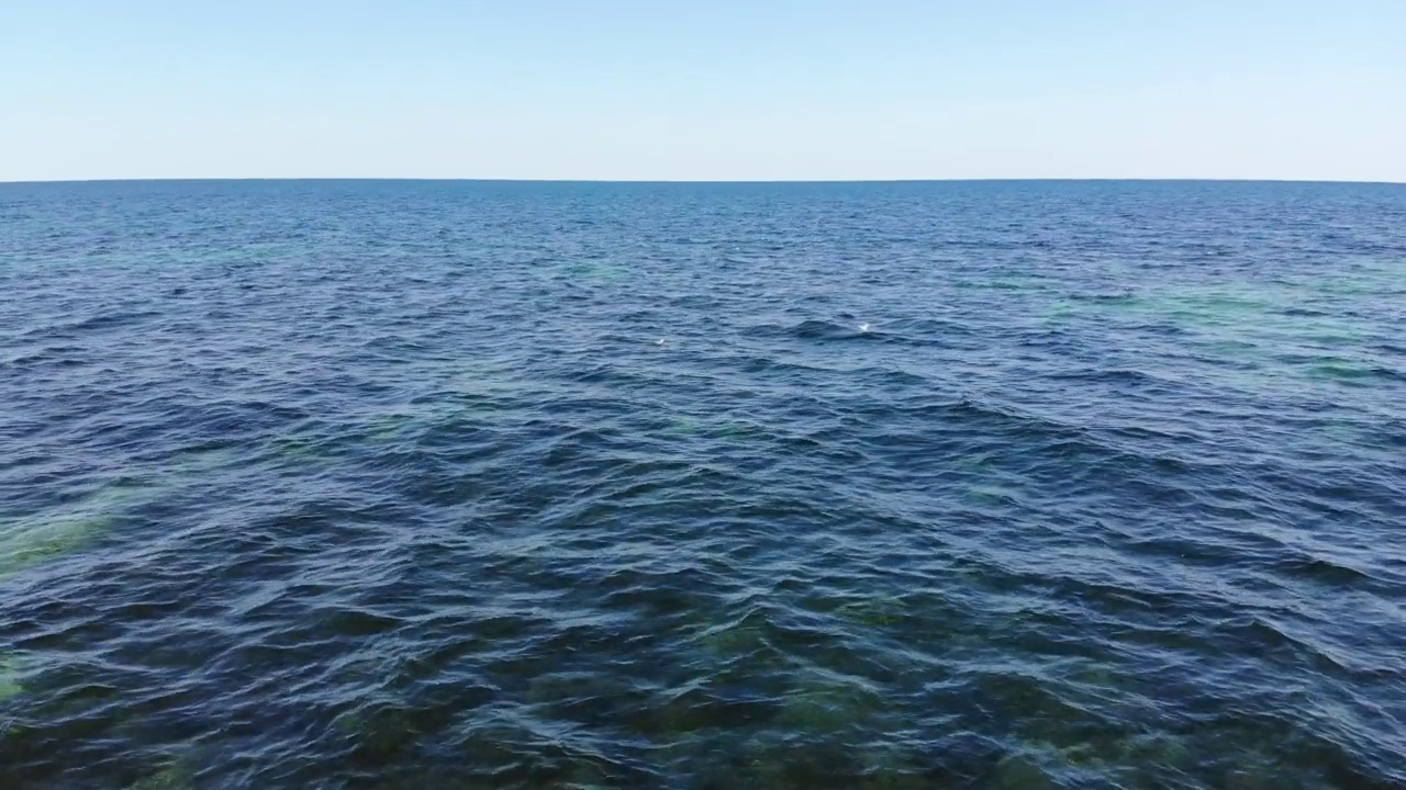 详情图-透明的海洋表面和海藻表面下的石头。海洋表面的鸟瞰图