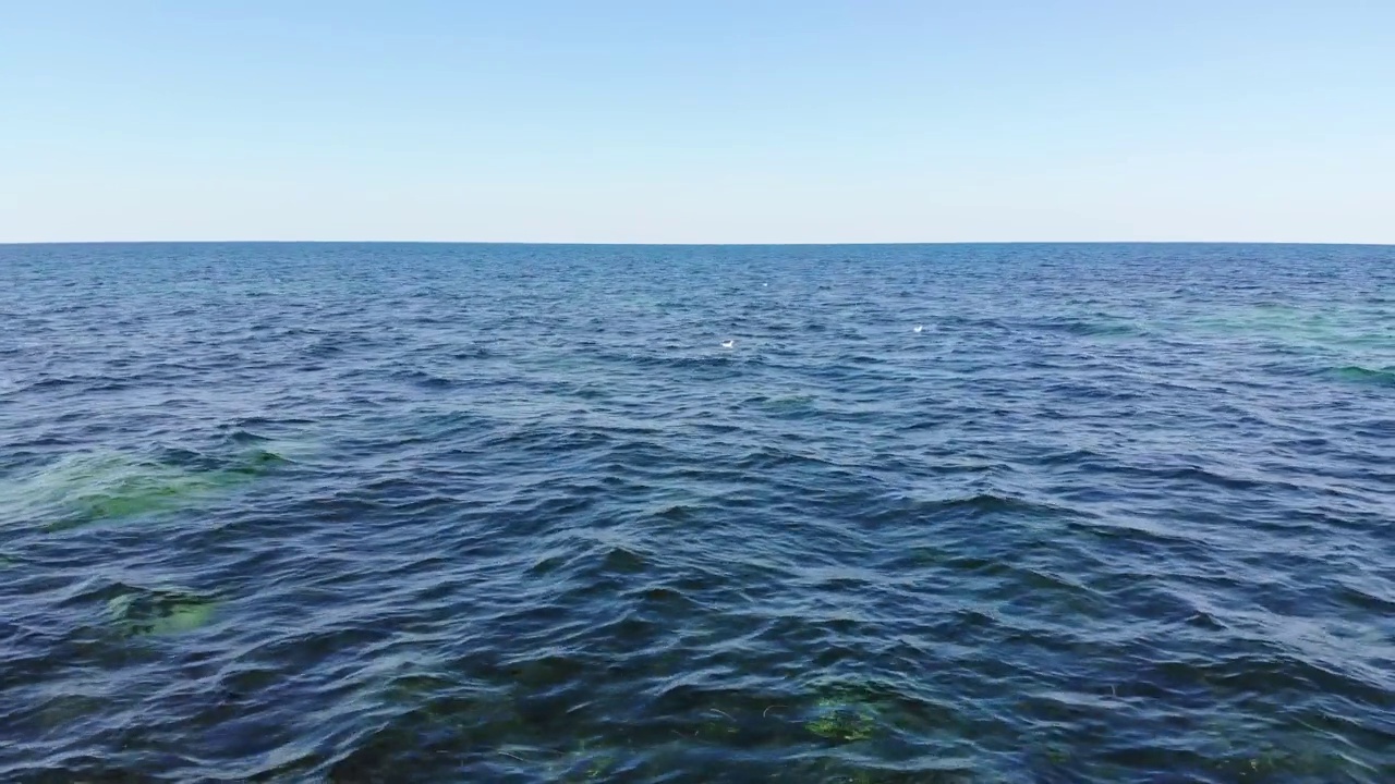 详情图-透明的海洋表面和海藻表面下的石头。海洋表面的鸟瞰图