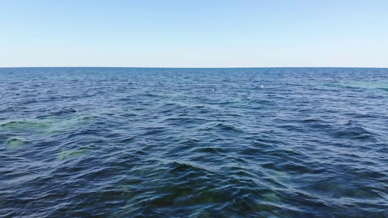 详情图-透明的海洋表面和海藻表面下的石头。海洋表面的鸟瞰图