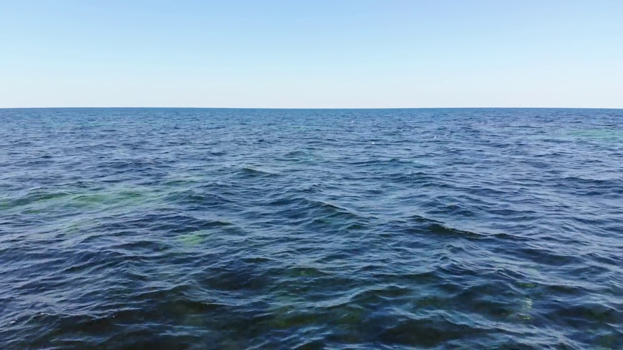 详情图-透明的海洋表面和海藻表面下的石头。海洋表面的鸟瞰图