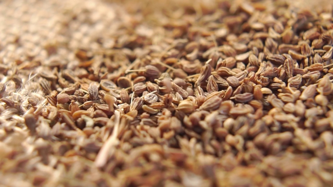 详情图-干燥的茴香籽以慢动作落下。茴香调味料干燥。宏