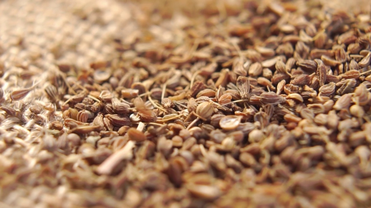 详情图-干燥的茴香籽以慢动作落下。茴香调味料干燥。宏