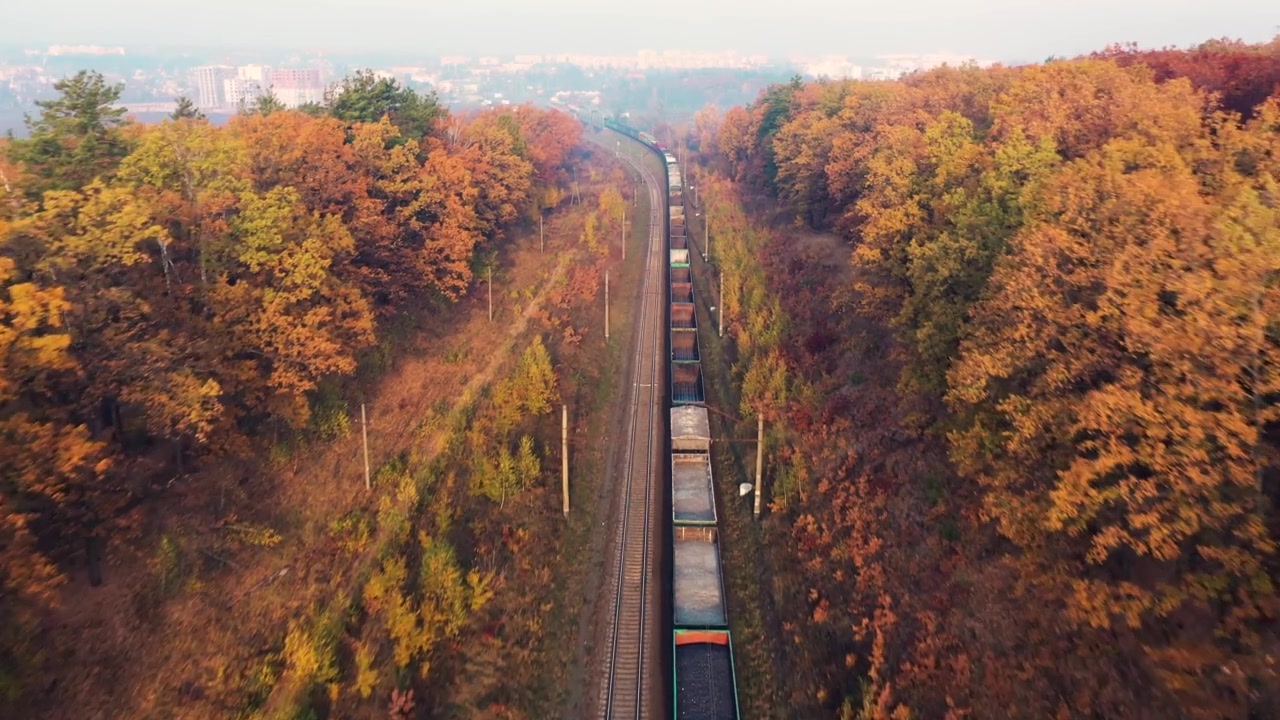 詳情圖-貨運列車在美麗的森林在霧在日出在秋天。鳥瞰圖，秋天的貨車和貨物。工業(yè)。俯視鐵路，霧蒙蒙的樹，橘黃色的葉子。火車站