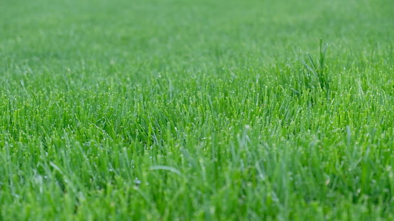 自动花园草坪浇灌系统。可调节喷头可节省喷灌系统的用水。自动化草坪灌溉，园艺，足球场或高尔夫球场。